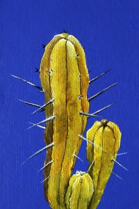 myrtillocactus geometrizans Manza April oil painting Pulchra Ferocia